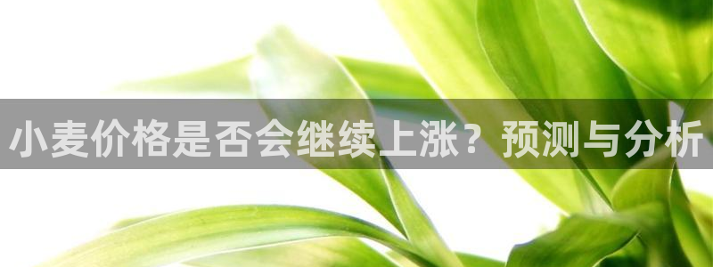 焦点娱乐app网页入口：小麦价格是否会继续上涨？预测与分析