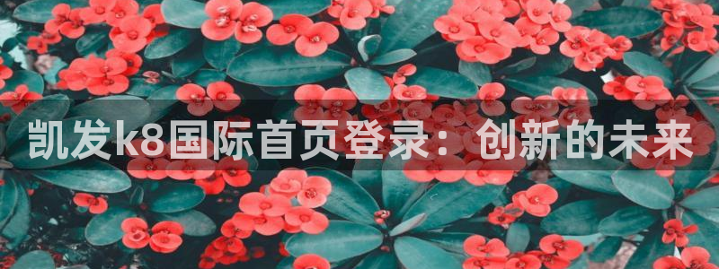 焦点娱乐是大平台吗：凯发k8国际首页登录：创新的未来