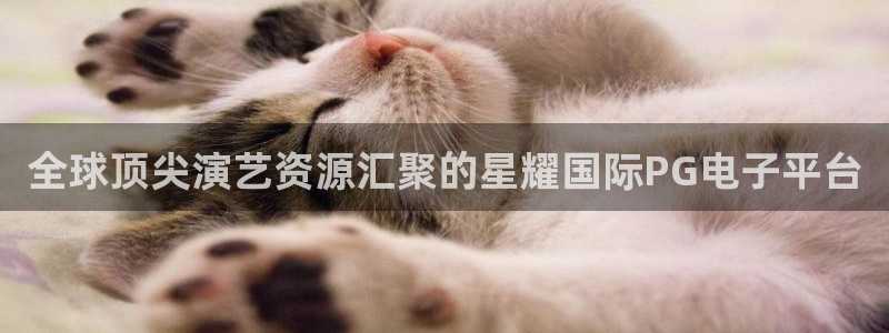 壹号大舞台入口：全球顶尖演艺资源汇聚的星耀国际PG电子平台