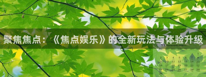 焦点娱乐app：聚焦焦点：《焦点娱乐》的全新玩法与体验升级