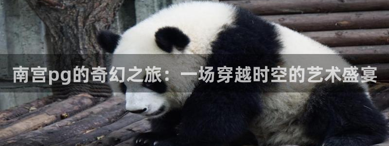 焦点娱乐电子游戏官网：南宫pg的奇幻之旅：一场穿越时空的艺术盛宴