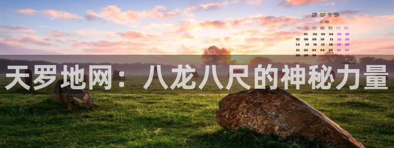 焦点娱乐下载入口：天罗地网：八龙八尺的神秘力量