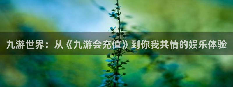 焦点娱乐登录：九游世界：从《九游会充值》到你我共情的娱乐体验