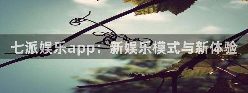 焦点娱乐登录网：七派娱乐app：新娱乐模式与新体验