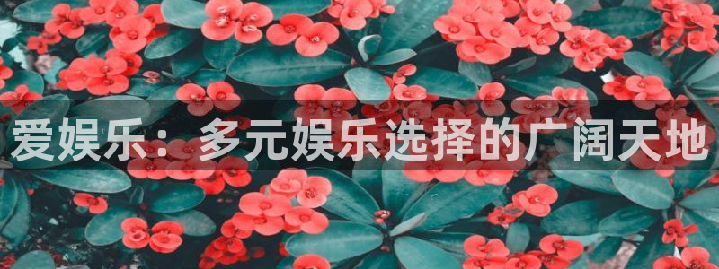 焦点娱乐游戏：爱娱乐：多元娱乐选择的广阔天地