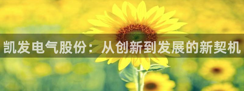焦点娱乐注册网站：凯发电气股份：从创新到发展的新契机