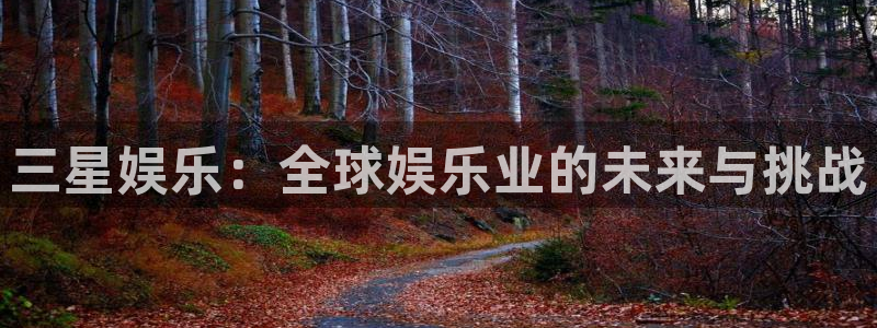 焦点娱乐平台管网入口：三星娱乐：全球娱乐业的未来与挑战