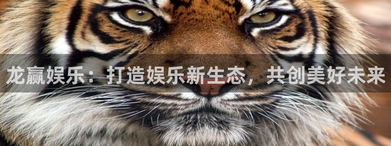 壹号大舞台网站：龙赢娱乐：打造娱乐新生态，共创美好未来