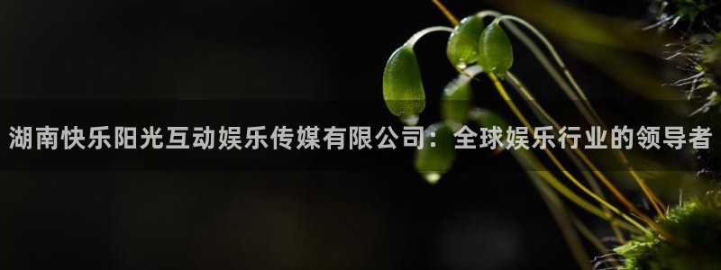 焦点娱乐赋能艺术：湖南快乐阳光互动娱乐传媒有限公司：全球娱乐行业的领导者