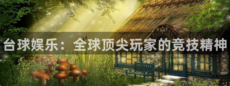 焦点娱乐网站平台：台球娱乐：全球顶尖玩家的竞技精神