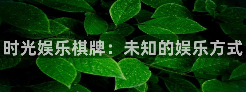 焦点娱乐电子游戏：时光娱乐棋牌：未知的娱乐方式