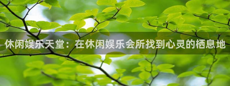 焦点娱乐：休闲娱乐天堂：在休闲娱乐会所找到心灵的栖息地