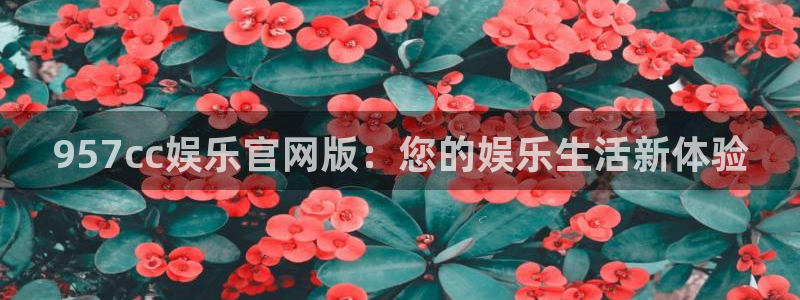 焦点娱乐游app：957cc娱乐官网版：您的娱乐生活新体验