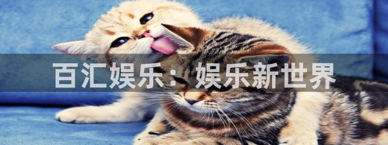 焦点娱乐app网页入口：百汇娱乐：娱乐新世界