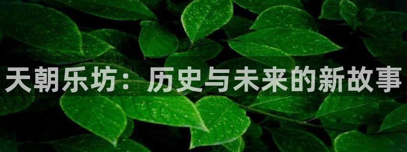 焦点娱乐下载入口：天朝乐坊：历史与未来的新故事