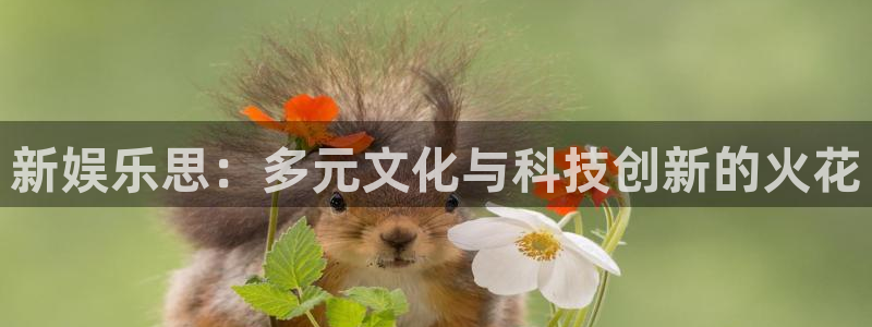 焦点娱乐app入口：新娱乐思：多元文化与科技创新的火花