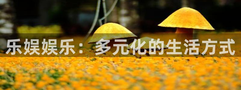 焦点娱乐游戏试玩：乐娱娱乐：多元化的生活方式