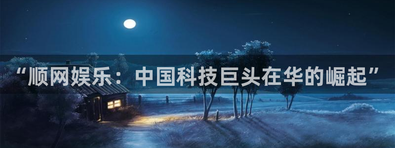 焦点娱乐,apk：“顺网娱乐：中国科技巨头在华的崛起”